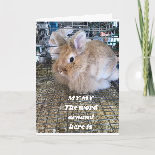 CARTE **FUNNY BUNNY** DIRE HEUREUX ANNIVERSAIRE (Devant)