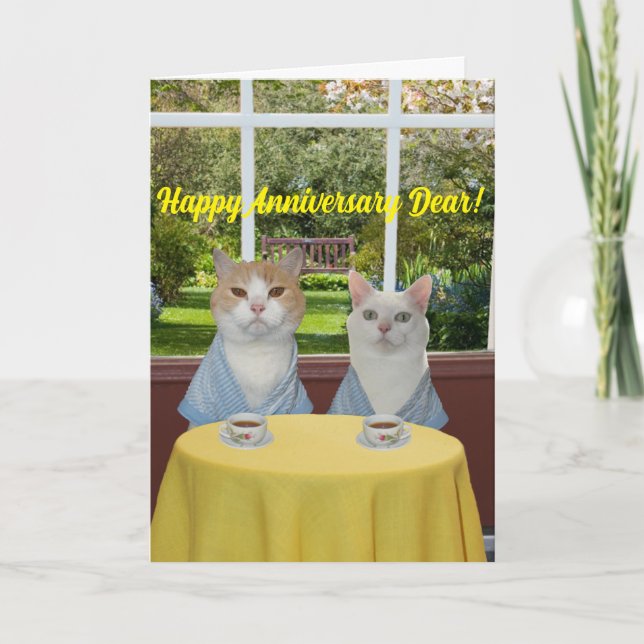 Carte Funny Cat Anniversaire Card pour Époux (Devant)