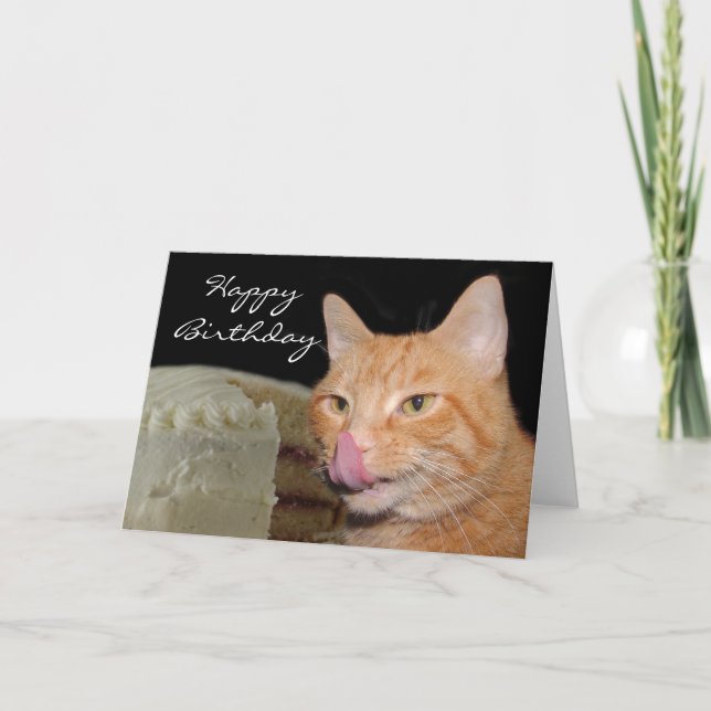 Carte Funny cat Birthday (Devant)