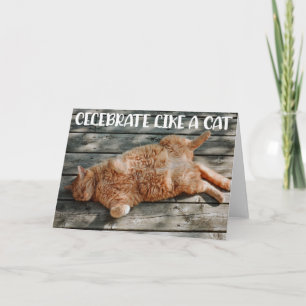 Carte Funny Cat Birthday Greeting Card 