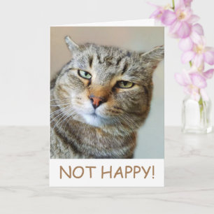 Carte Funny Cat Cancer Support