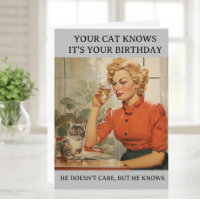 Funny Cat Knows C'est ton anniversaire
