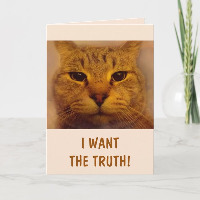 Carte Funny Chat Garçon Se Bien (Devant)