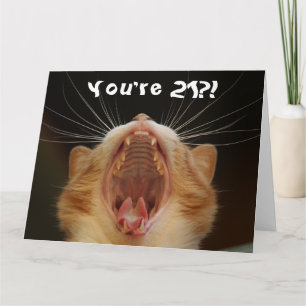 Carte Funny Chat Happy 21e anniversaire