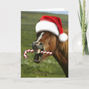 Carte Funny Christmas horse with Santa a smiling
