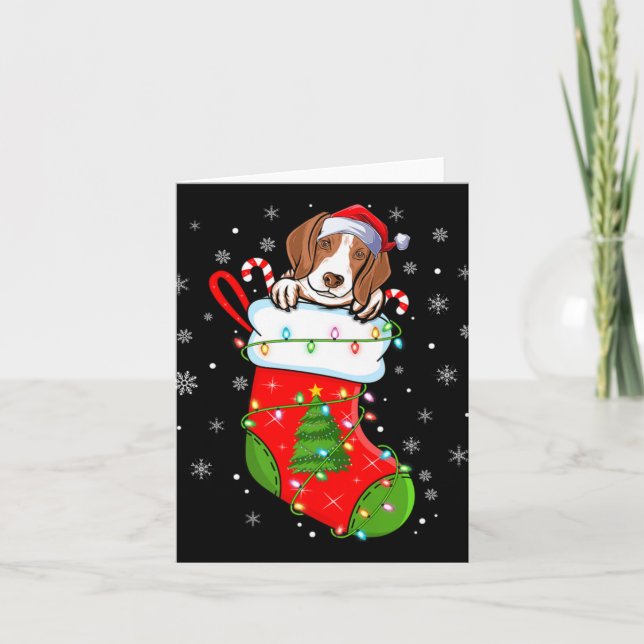 Carte Funny Coonhound Dog In Christmas Socks Lights Xmas (Devant)