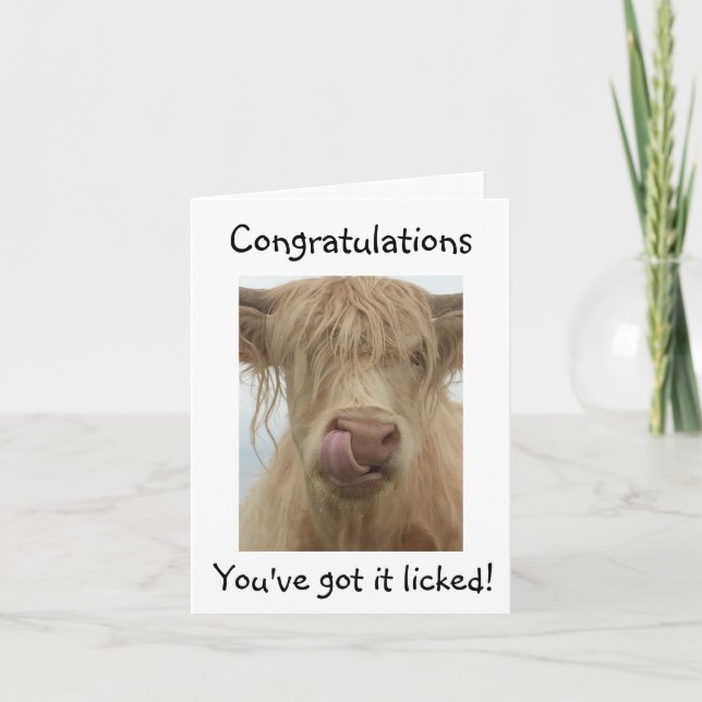 Carte Funny Cow Félicitations Card (Devant)