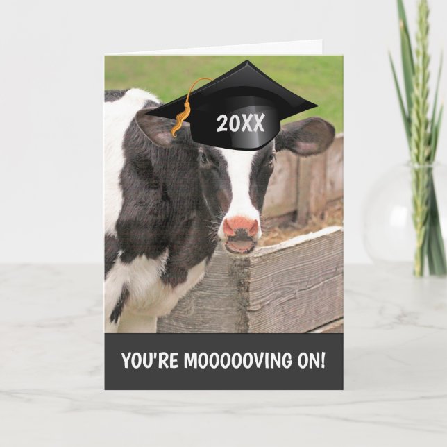Carte Funny Cow Pun Graduation (Devant)