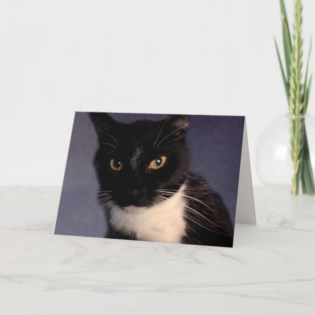 Carte Funny Custom "From the Cat" Anniversaire (Devant)
