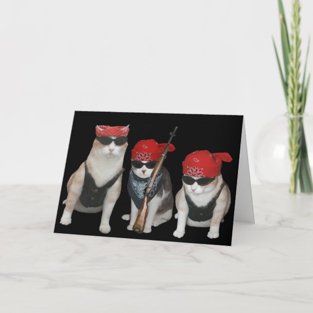Carte Funny, customizable Biker Cats Birthday (Devant)