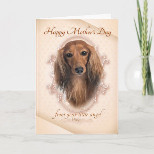 Carte Funny Dachshund