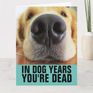 CARTE FUNNY DOG BIRTHDAY DOG GREETING CARDS
