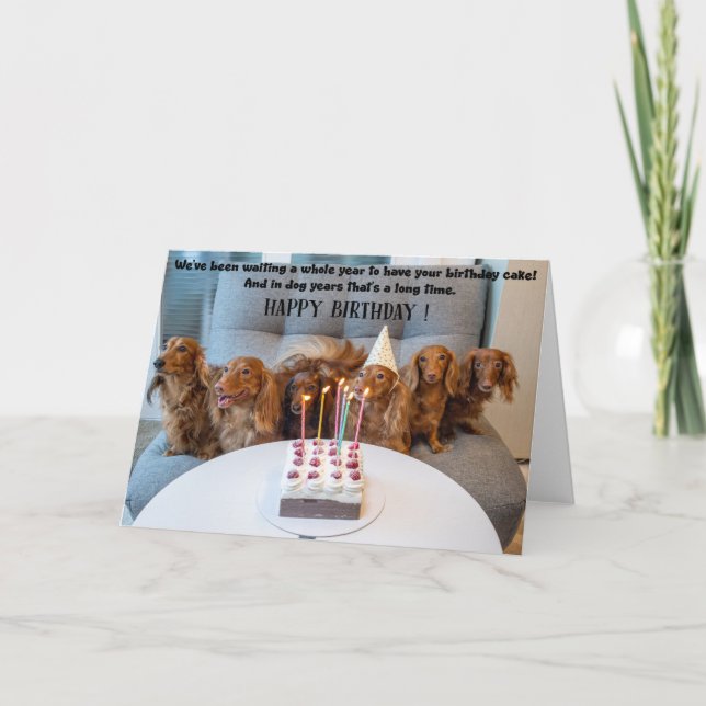 Carte Funny Dogs Birthday Greeting Card  (Devant)