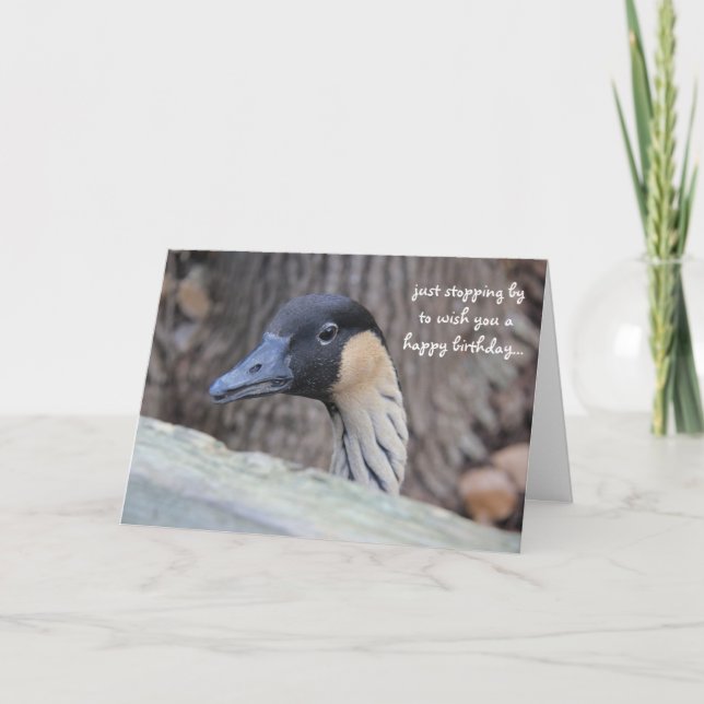 Carte Funny Duck Birthday Card, espérons que votre journ (Devant)