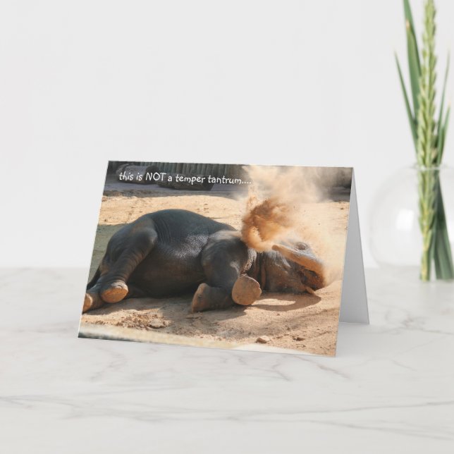 Carte Funny Elephany birthday, No more nutella ! (Devant)