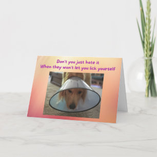 Carte Funny Get Well Card Chien dans le cône