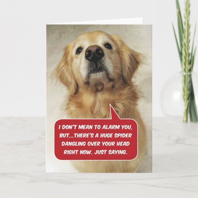 Carte Funny Golden Retriever Arachnophobie - Anniversair (Devant)