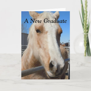 Carte Funny Graduate Graduate Graduation Félicitations C