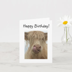 Carte Funny Highland Cow Anniversaire