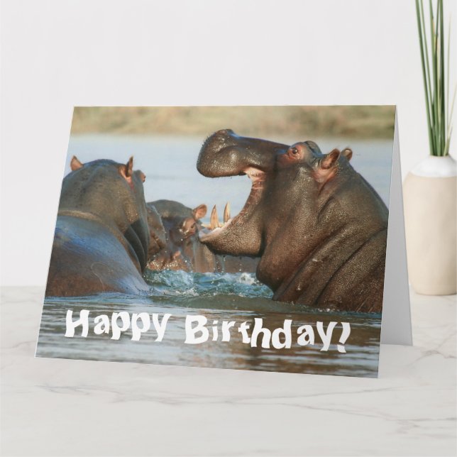 Carte Funny Hippopotamus Hippo Joyeux anniversaire (Devant)