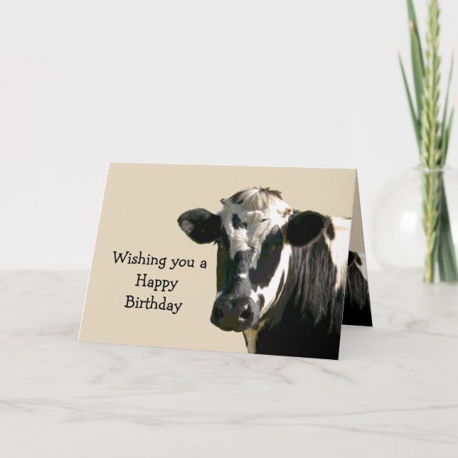Carte Funny Humour Vache Anniversaire Rire (Devant)