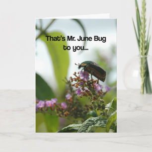 Carte Funny June Bug Greeting Card
