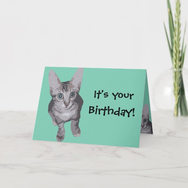 Carte Funny Kitten Anniversaire (Devant)