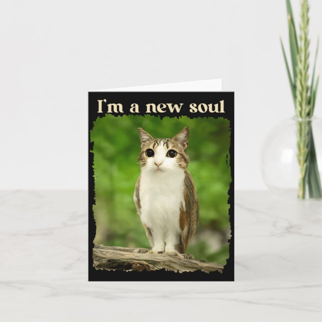 Carte Funny Meowl Meme, Cat Owl Meme Brainrot Gen Alpha  (Devant)