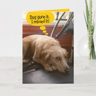 Carte Funny Mixte race Chien Belated Birthday Card