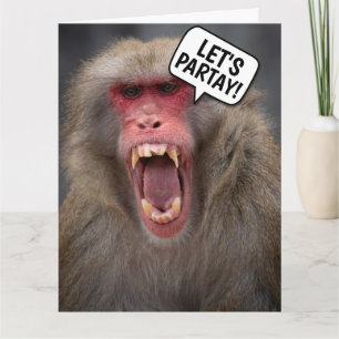 CARTE FUNNY MONKEY BANTHDAY GREETING CARD