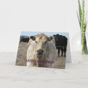 Carte Funny Moo Black White Vache Apologie - Ranch ou fe