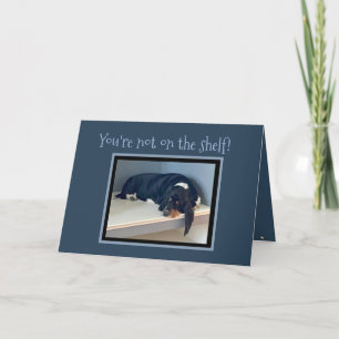 Carte Funny "On The Shelf" Birthday w/Celebrating Basset