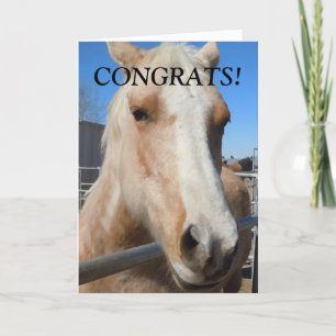Carte Funny Professional Graduate Félicitations Cheval