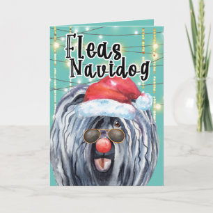 Carte Funny Puli chien de Noël dans les lumières puces n
