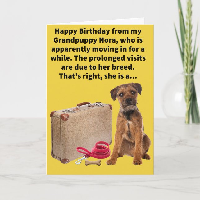 Carte Funny Pun Boarder Terrier Joyeux anniversaire (Devant)