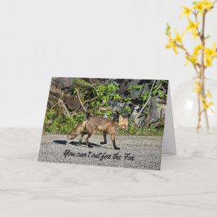 Carte Funny Sly Fox Birthday Card