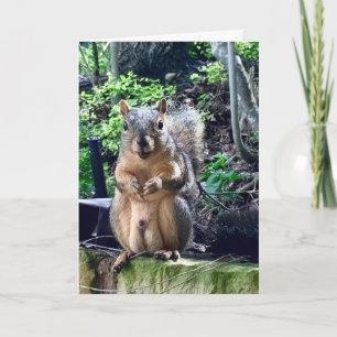 Carte Funny Squirrel Deez Nuts Texte personnalisé Annive