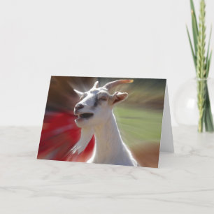 Carte Funny Tallking Goat Photograph