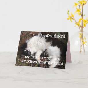 Carte Funny Tuxedo Chat Anniversaire Amour Vous Jouer Ca