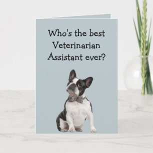 Carte Funny Veterinarian Asst Thank You Boston Terrier