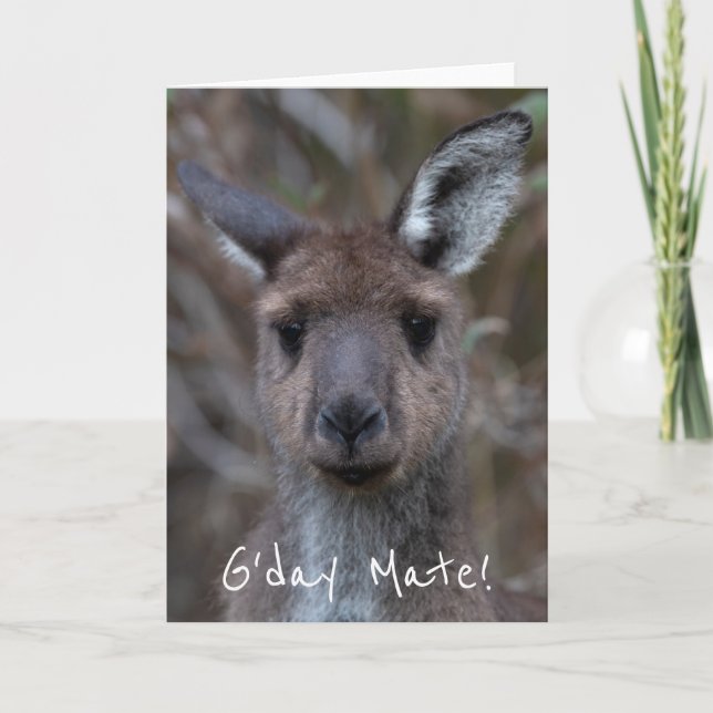 Carte G-Day Mate Kangaroo Australie (Devant)