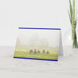 Carte Galloway ceinturé effraye le pâturage sur le champ