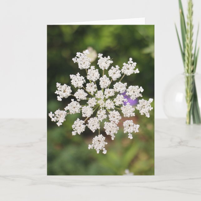 Carte Garden O Weedin Talking Canyons, Nouveau-Mexique (Devant)