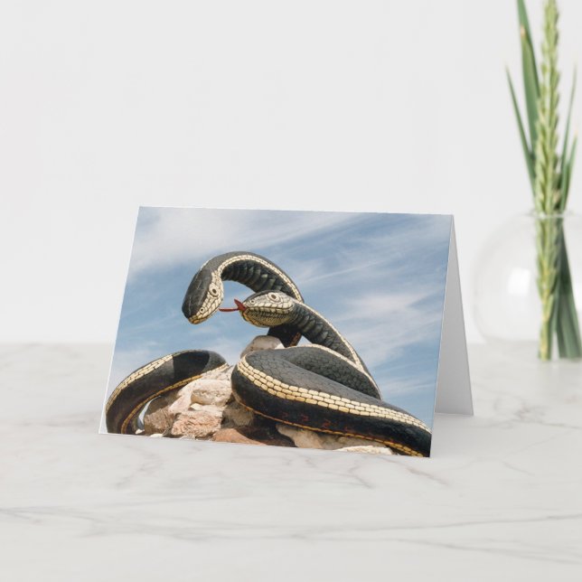 CARTE GARDER SNAKE (Devant)