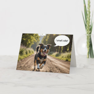 Carte Gâteau d'odeur de chien