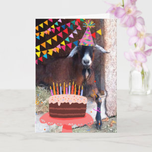 Carte Gâteau Festif Et Gâteau D'Anniversaire