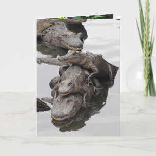 Carte Gator fête d'anniversaire