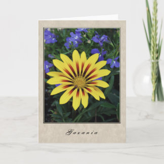 Carte Gazania