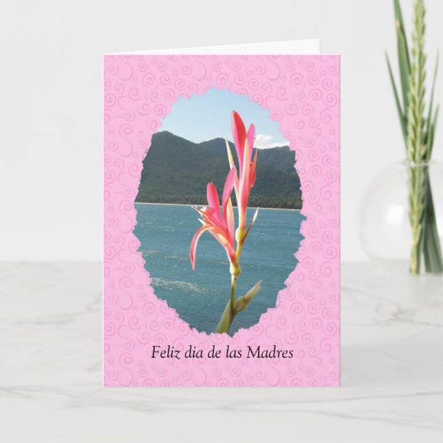 Carte Général de diamètre de las Madres de Feliz (Devant)
