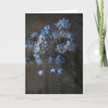 Gentle Blue Flowers in Rain, Fine Art Condolence